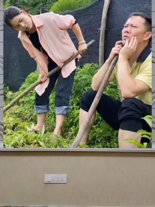 娱乐八卦吃瓜群众的