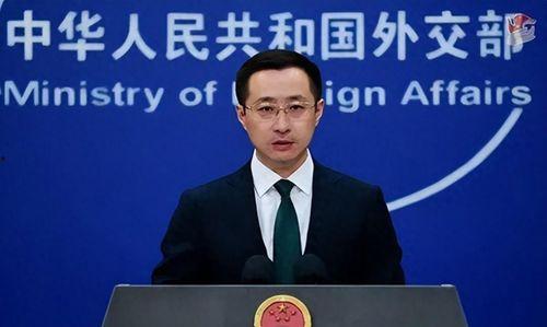 娱乐吃瓜委会副会长,幕后故事与影响力解析